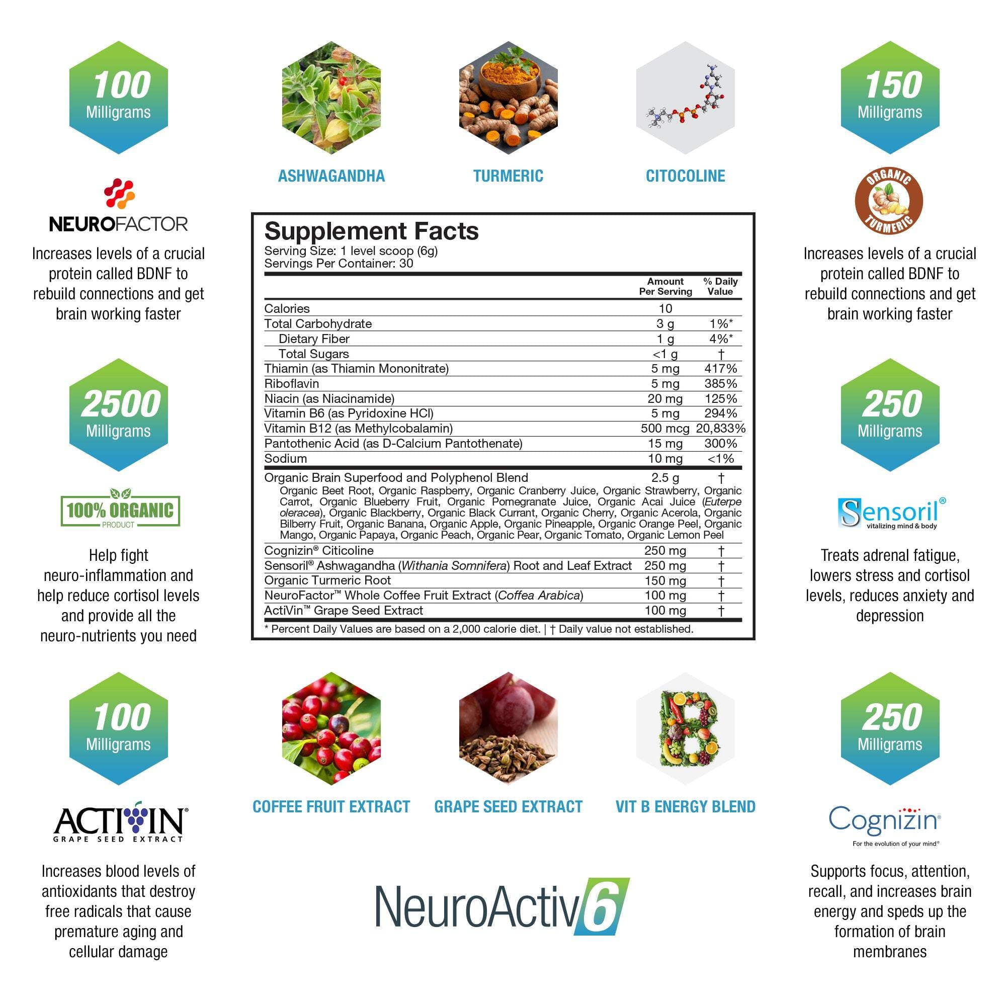 NeuroActiv6 - 6 Pack