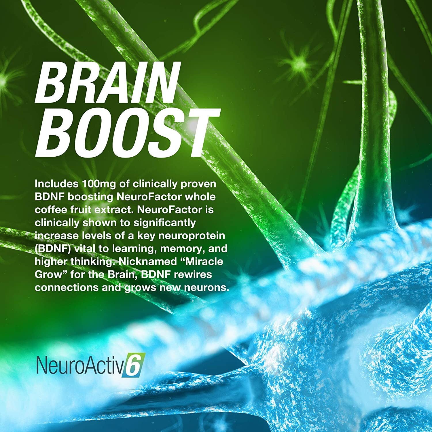 NeuroActiv6 - 6 Pack